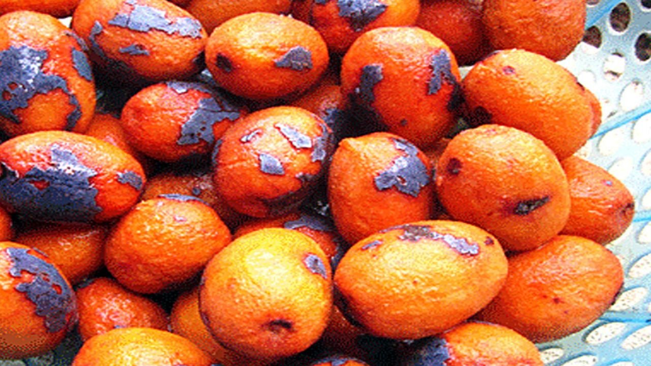 Cọ Ỏm Phú Thọ